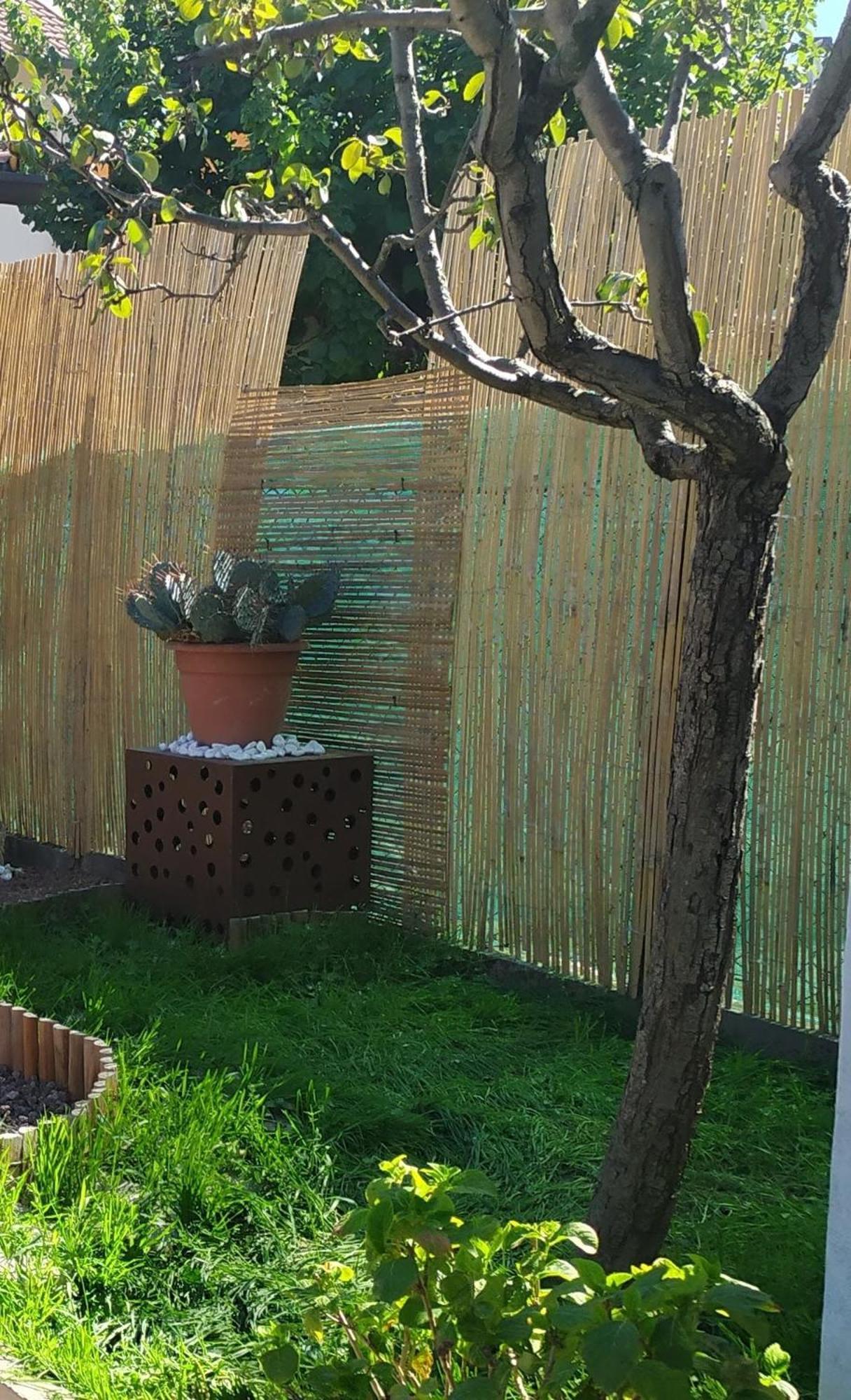 Appartamento Shanti Ca' Casa Indipendente Con Giardino Lacchiarella Esterno foto