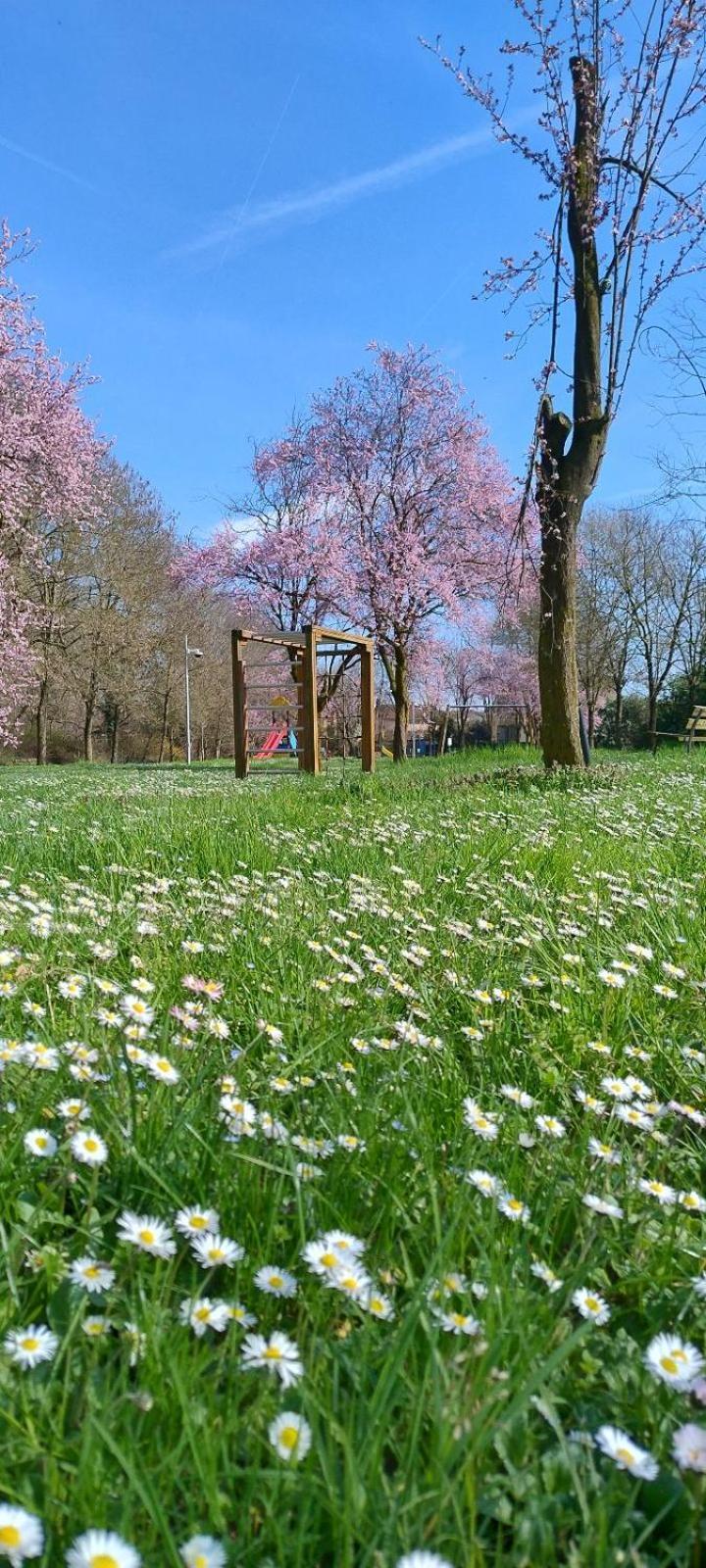 Appartamento Shanti Ca' Casa Indipendente Con Giardino Lacchiarella Esterno foto