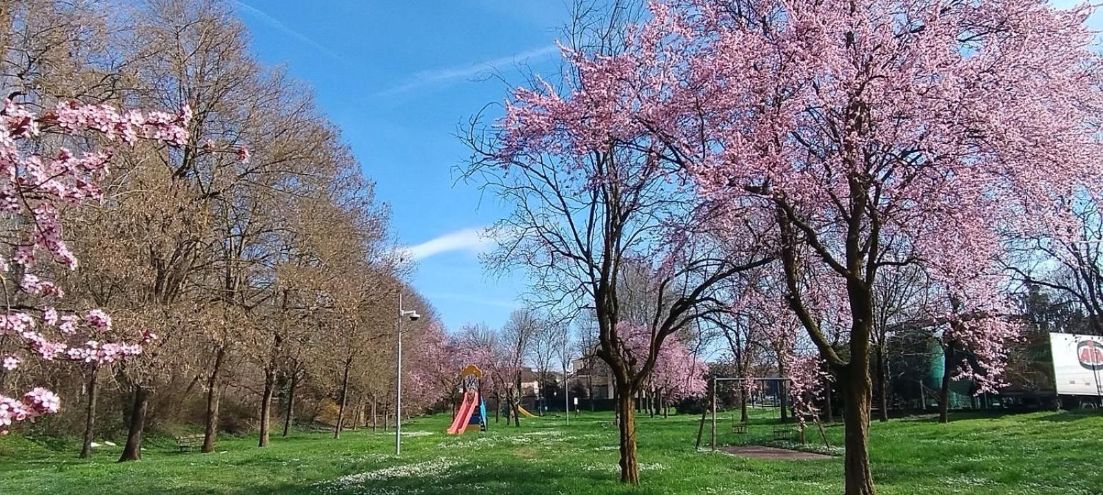 Appartamento Shanti Ca' Casa Indipendente Con Giardino Lacchiarella Esterno foto